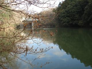 α
